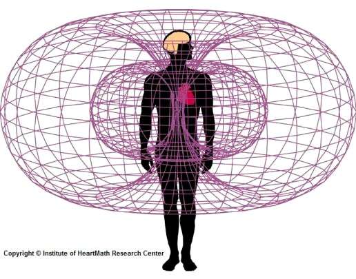 Campo elettromagnetico del cuore