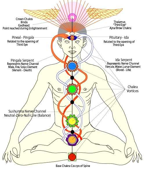 Cenni scientifici sui Chakra e i Veda