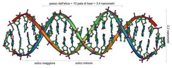 DNA Overview it 1 2