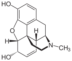 endorfine morfina oppiacei oppioidi endogeni