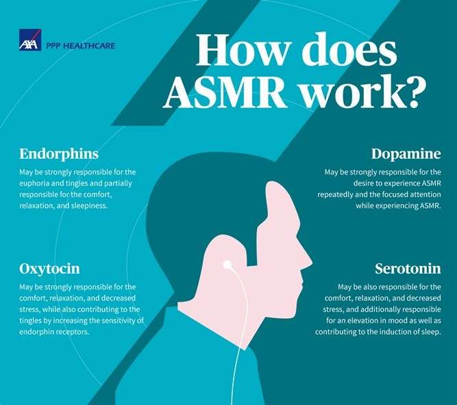 asmr infographic 700