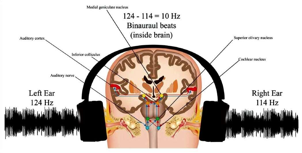 binaural beats 22 6 238 gf1 1