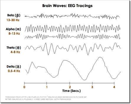 brainwaves2