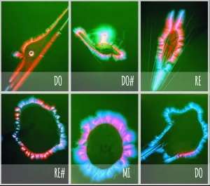 cellule kirlian note reikie it fabien