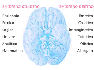 emisferi cerebrali