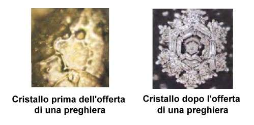 emoto1