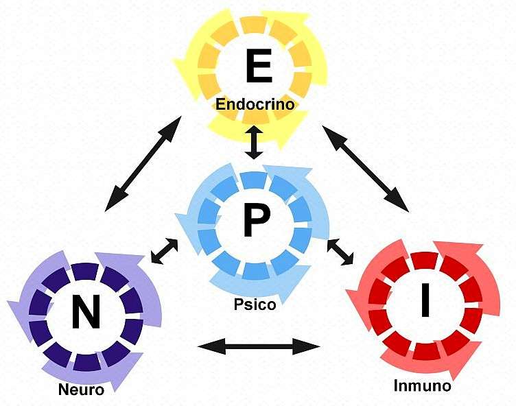 pnei infogramma