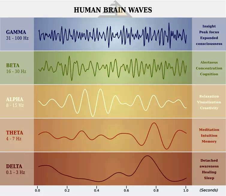 wave mind brain2